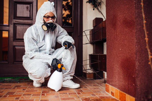 Attic and Crawl Space Rodent Treatment in Glendale